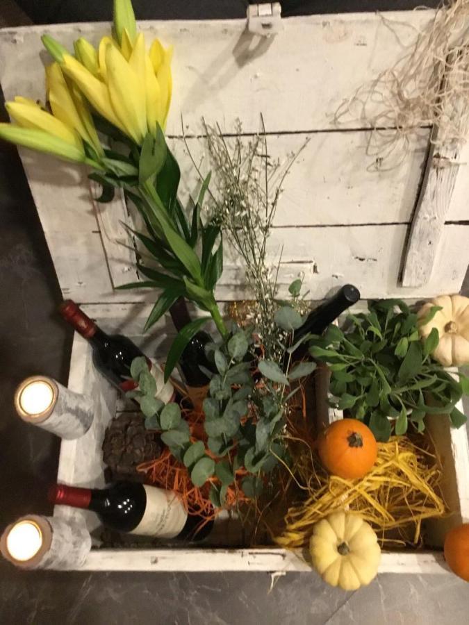 祖姆山顶公园酒店 卡塞尔 外观 照片